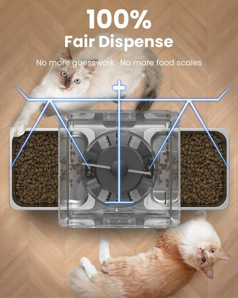 【Pet Secrets】Cityflee Automatic Cat Feeder for Two Cats, Adjustable Bowl Height to Protect Pet Spine, 20 Cups/5L for Small Pets Indoor, Supports Timed and Voice Call, Healthy Pet