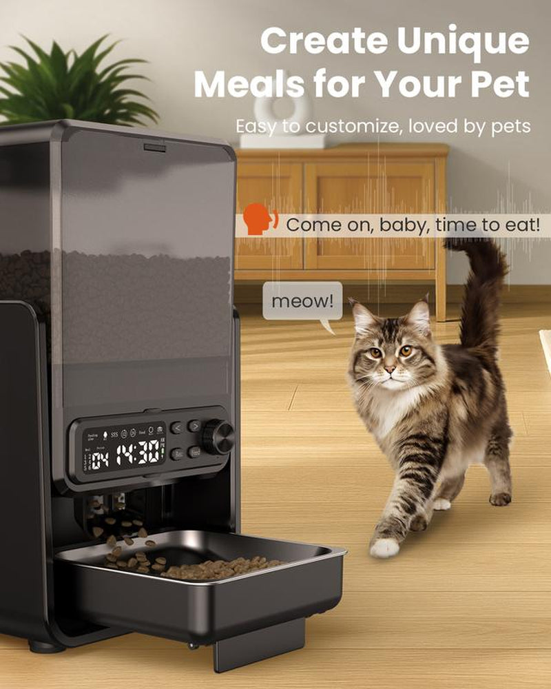 【Pet Secrets】Cityflee Automatic Cat Feeder for Two Cats, Adjustable Bowl Height to Protect Pet Spine, 20 Cups/5L for Small Pets Indoor, Supports Timed and Voice Call, Healthy Pet