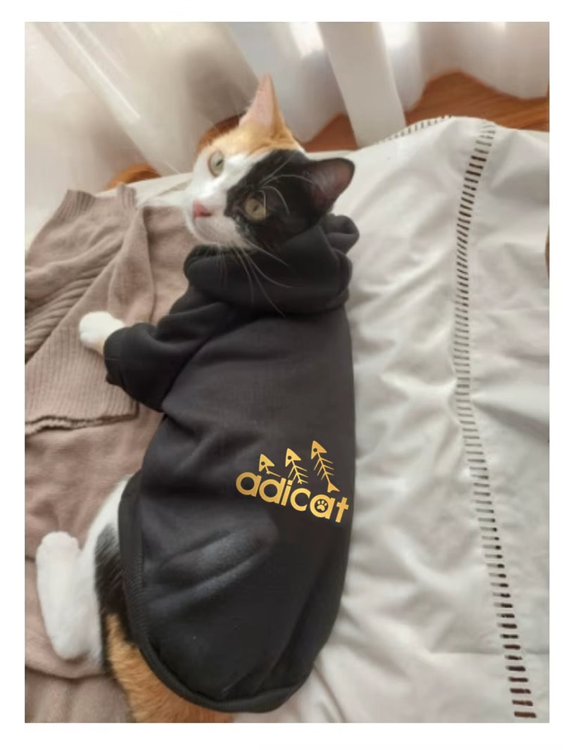 Fashion Cat Cool Clothes Autumn Winter Puppy Kitty Letter Printed Hoodies Accesorios Kitten Clothes Jumper Designer Cat Outfits