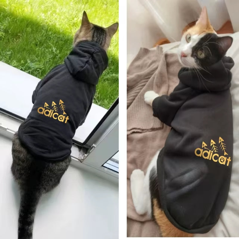 Fashion Cat Cool Clothes Autumn Winter Puppy Kitty Letter Printed Hoodies Accesorios Kitten Clothes Jumper Designer Cat Outfits
