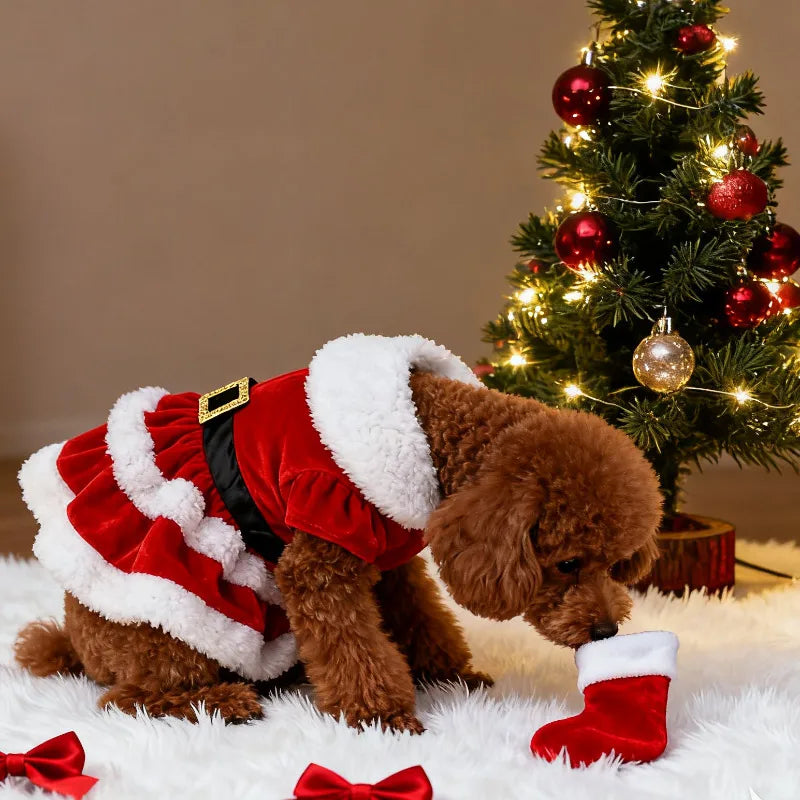 Soft Breathable dogs and cats Christmas Dress Fashion Cute Santa Claus Dog Skirt Warm Pet Christmas Costume New Year Clothes for Dogs